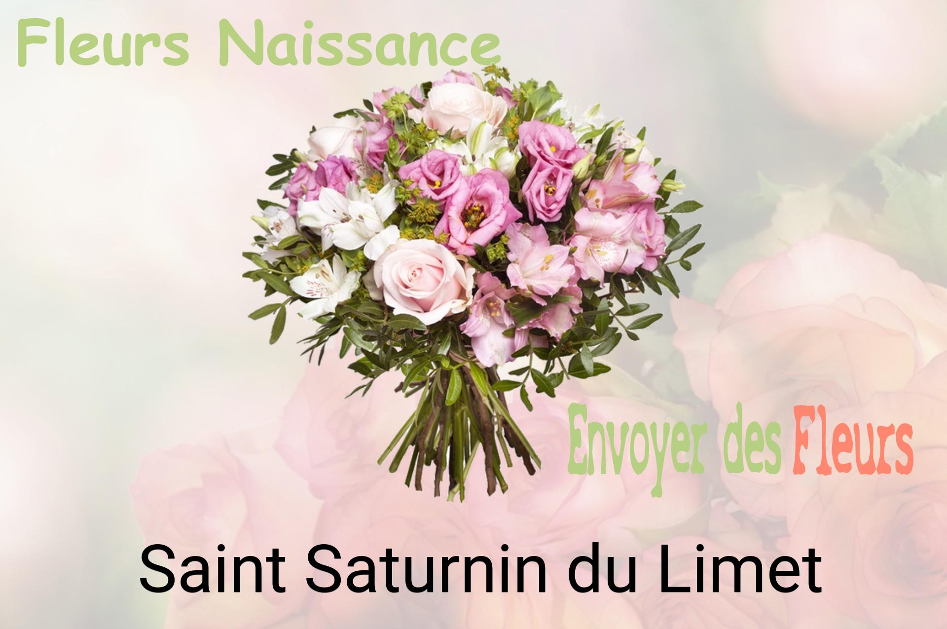 Bouquet de fleurs de naissance livré à Saint-Saturnin-du-Limet